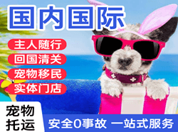 舟山普陀山国际宠物托运 【国